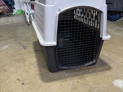 Large Dog Kennel