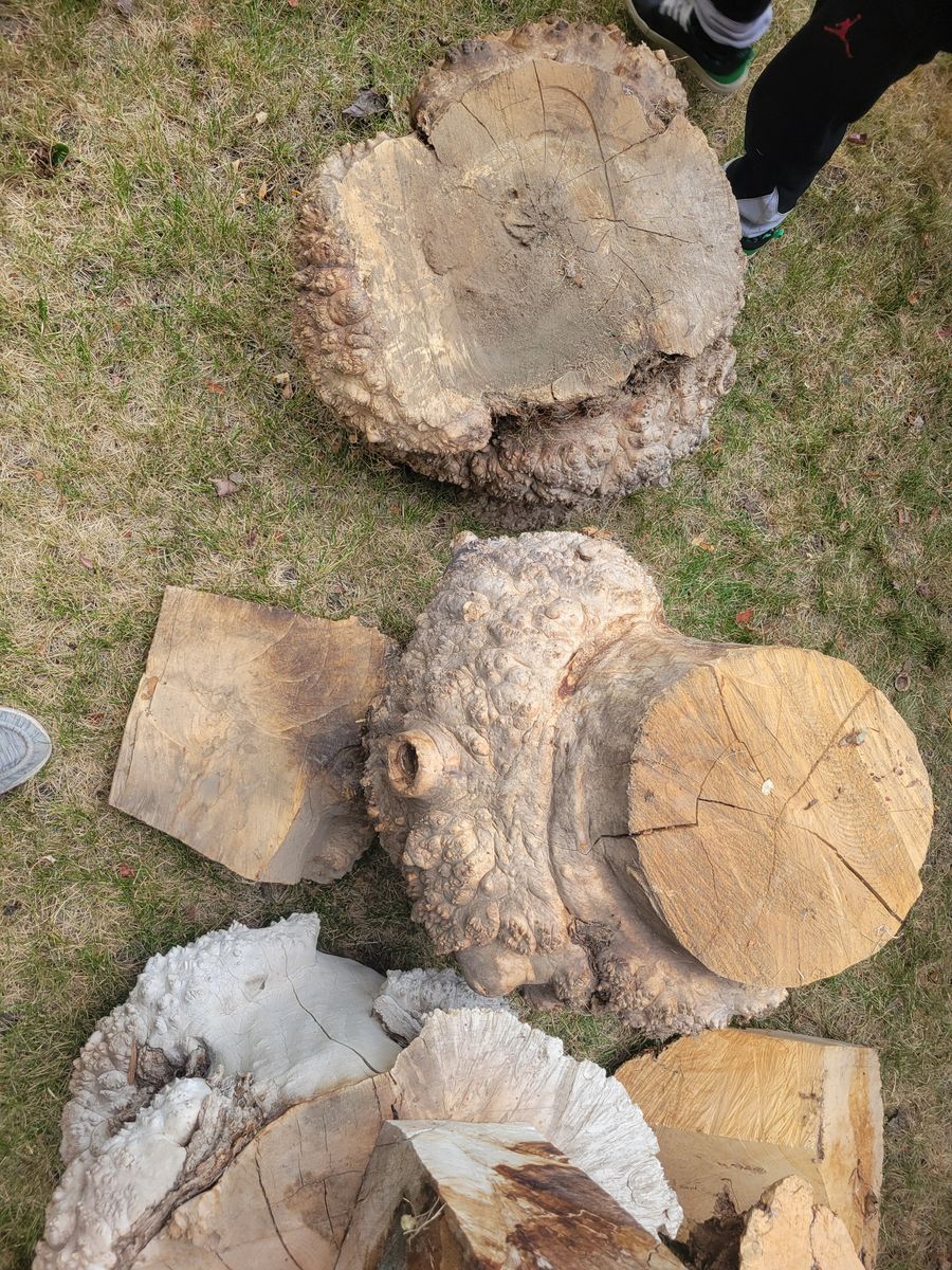 Main image 4