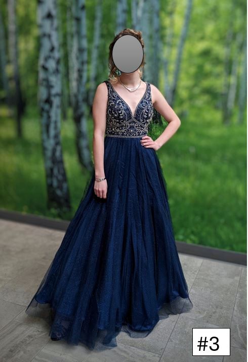 Prom/Formal/ Quinceanera Dress