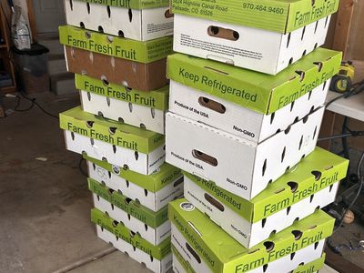 FREE boxes with lids