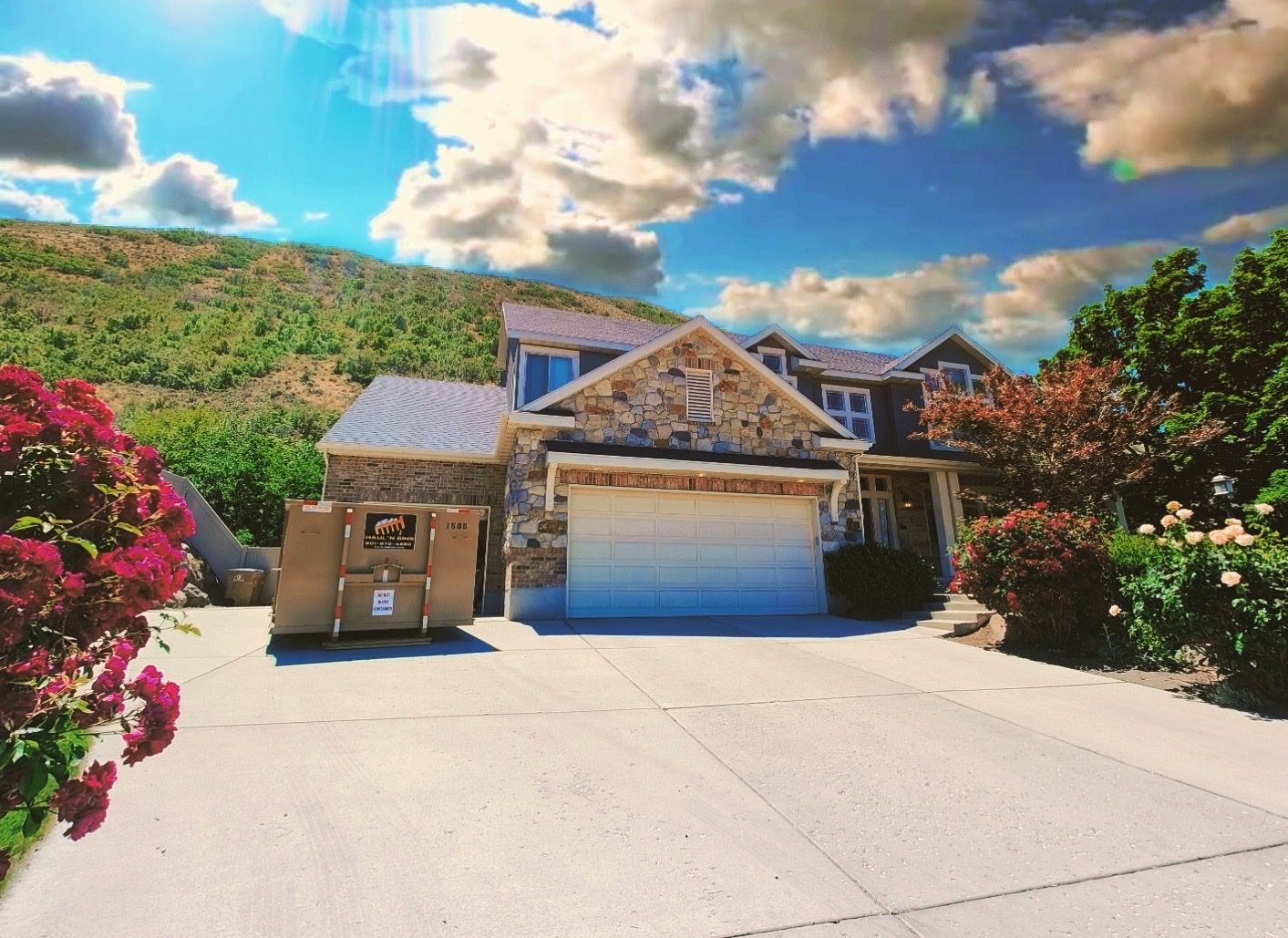 Main image 7