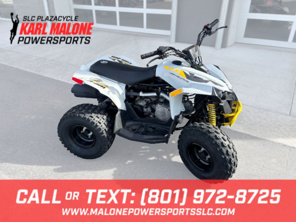 2024 Can-Am Renegade 110 EFI Catalyst Grey & Neo Y