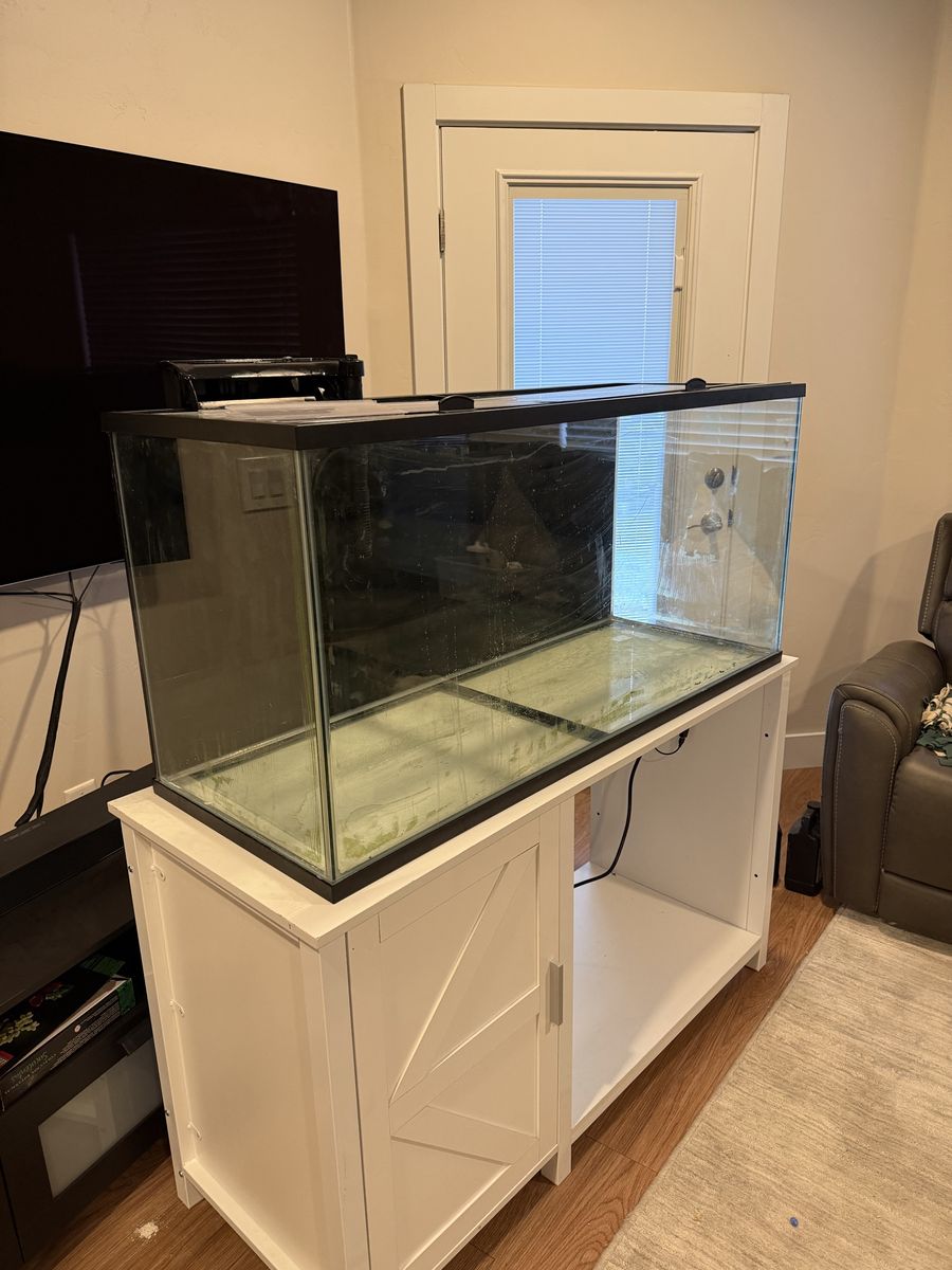 75 gallon fish tank