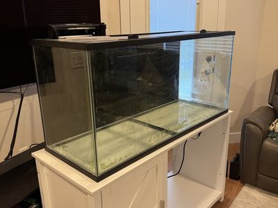 75 gallon fish tank