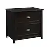 Sauder County Line 427719 Black 2-drawer Lateral File Cabinet - NIB