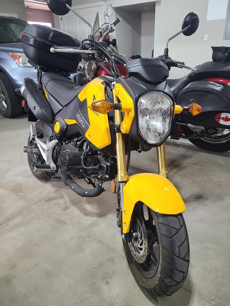 2015 Grom, Cedar City