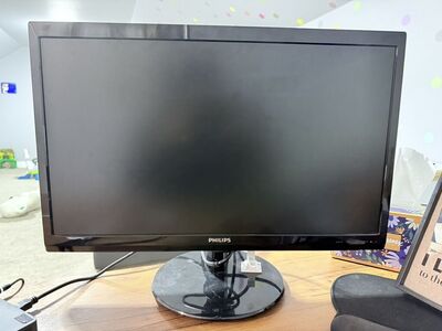 Philips 24-in Full HD LED Monitor