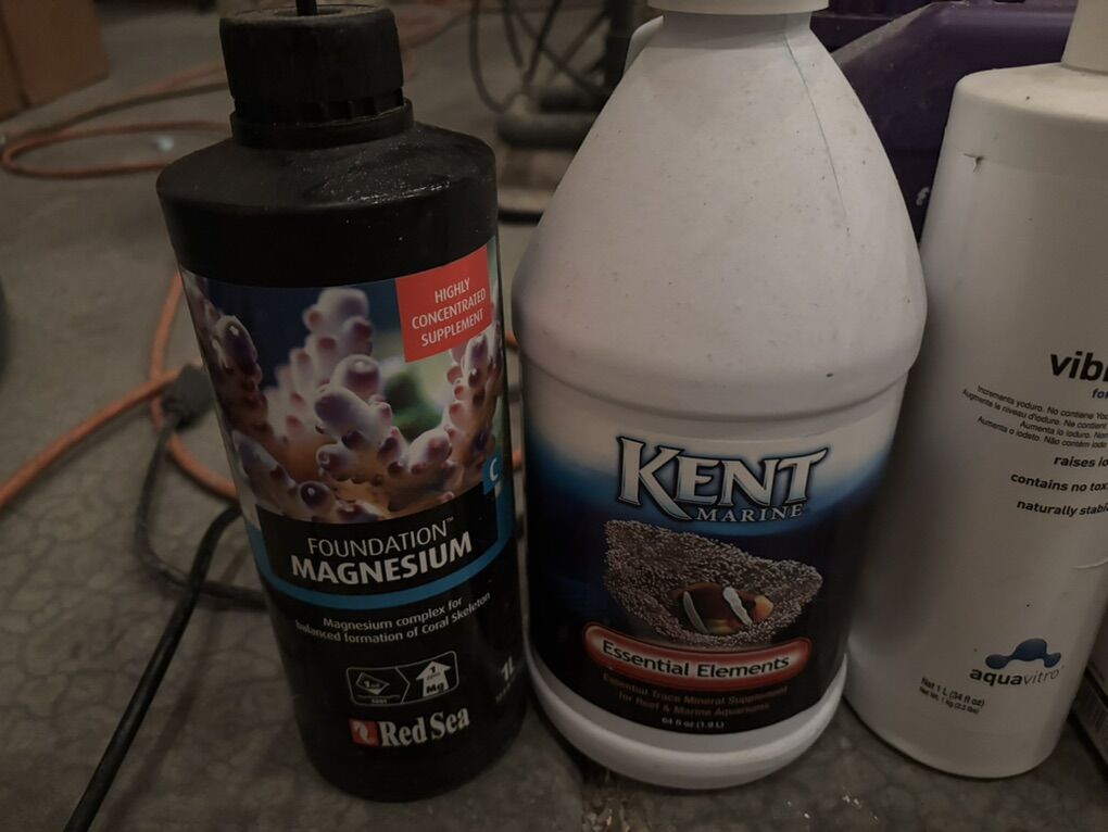 Salt Water Tank Supplies