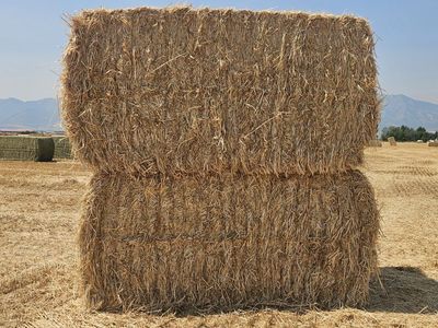 Straw for sale