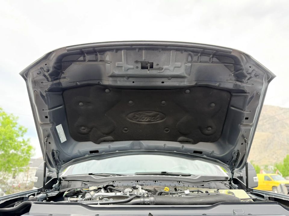 Main image 5