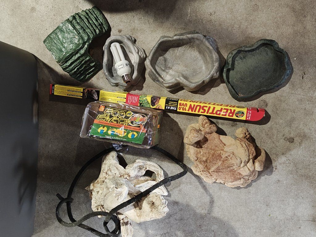 reptile stuff