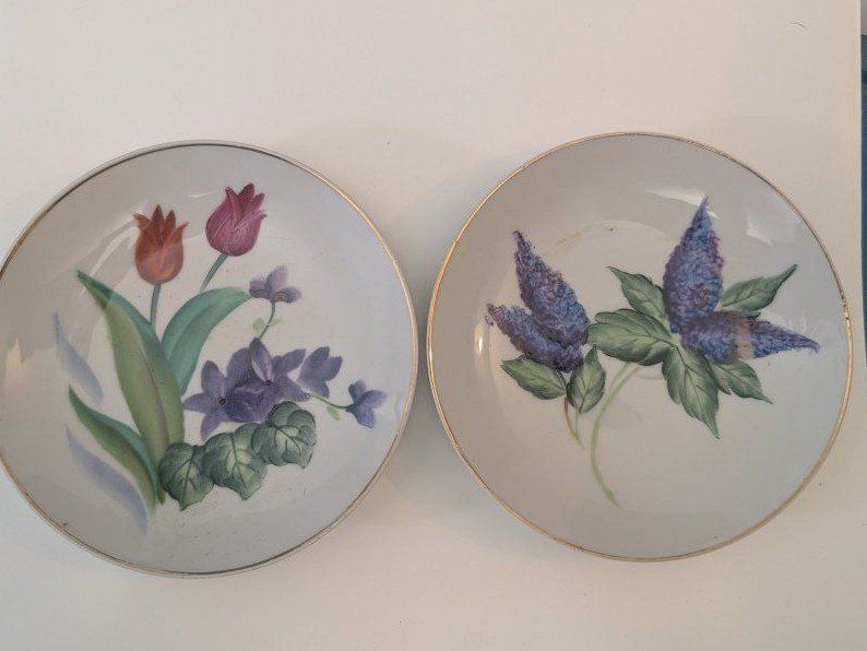 Vintage Collector Plates from Japan