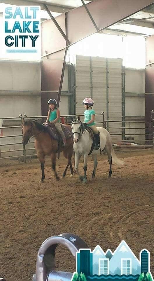 Horseback Riding lessons