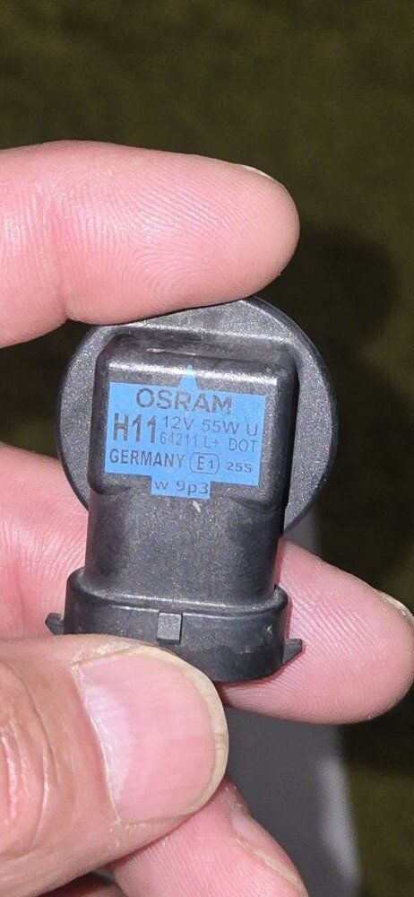 BULBS for Sprinter RV Van H11 Osram 55W White