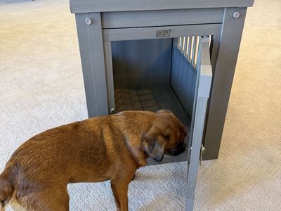 ECOFLEX Grey Pet Crate End Table Small - Durable & Stylish Dog Kennel Furniture