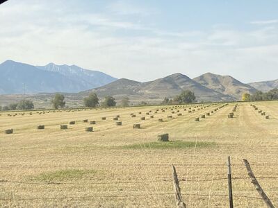 11.5+ Prime Acres in Genola Utah