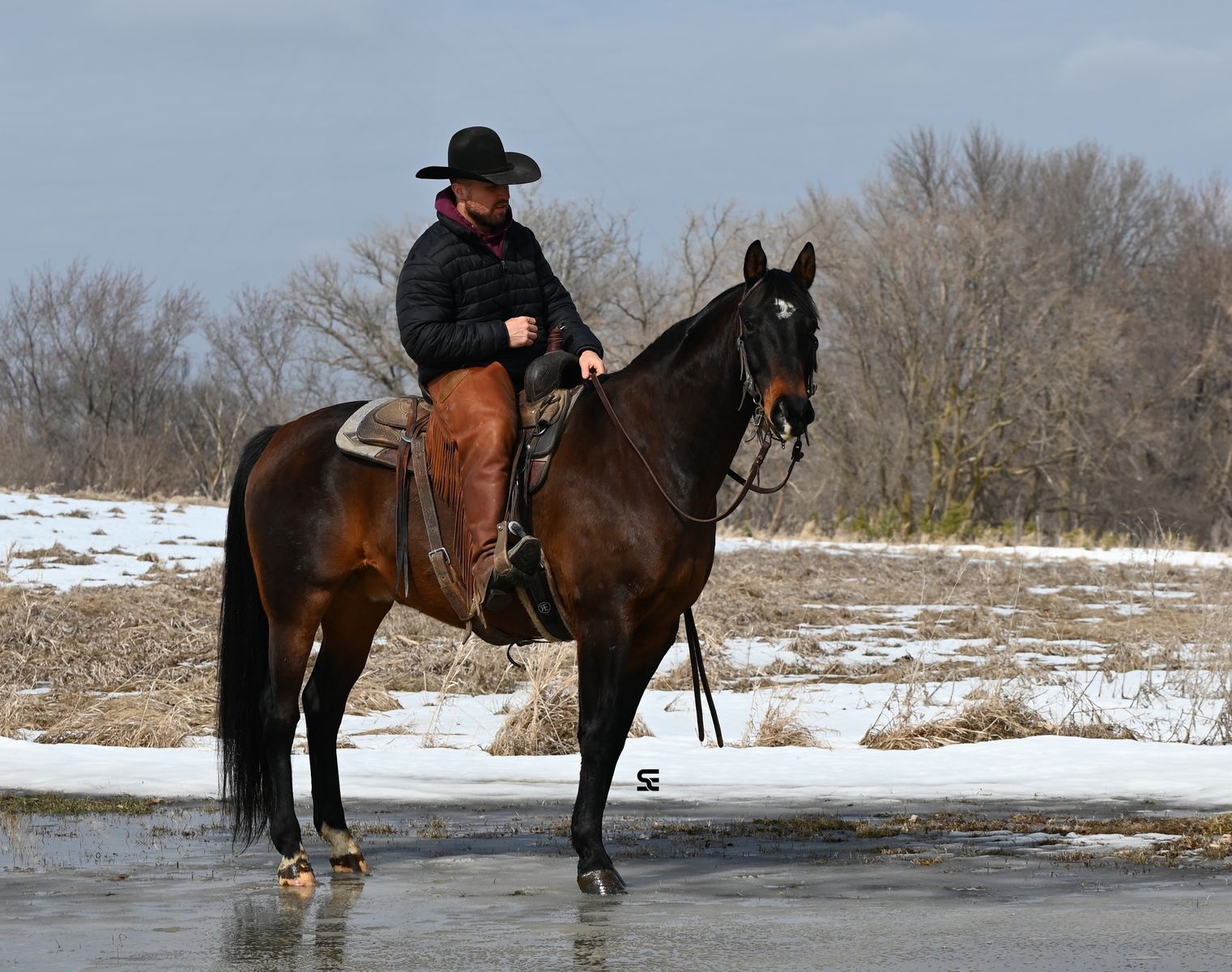 𝗚𝗢𝗥𝗚𝗘𝗢𝗨𝗦 & 𝗙𝗮𝗺𝗶𝗹𝘆 𝗦𝗮𝗳𝗲 𝗧𝗿𝗮𝗶𝗹 𝗚𝗲𝗹𝗱𝗶𝗻𝗴 - 𝗔𝗻𝘆𝗼𝗻𝗲 𝗖𝗮𝗻 𝗘𝗻𝗷𝗼𝘆 𝗛𝗶𝗺!