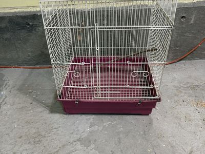 Parakeets and cages for sale