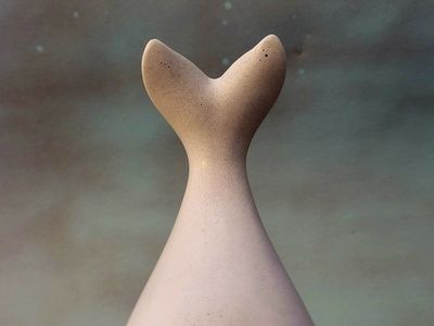 Whale (•̩̥̀‿•̩̥̀) Blue trinkt box plantr mountain