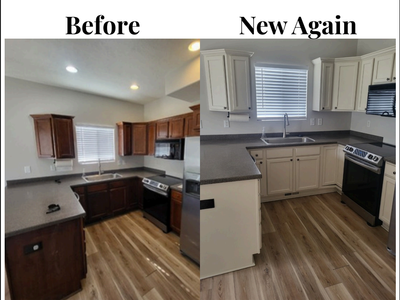 New Again Cabinet Painting Kitchen and Bathroom Vanity