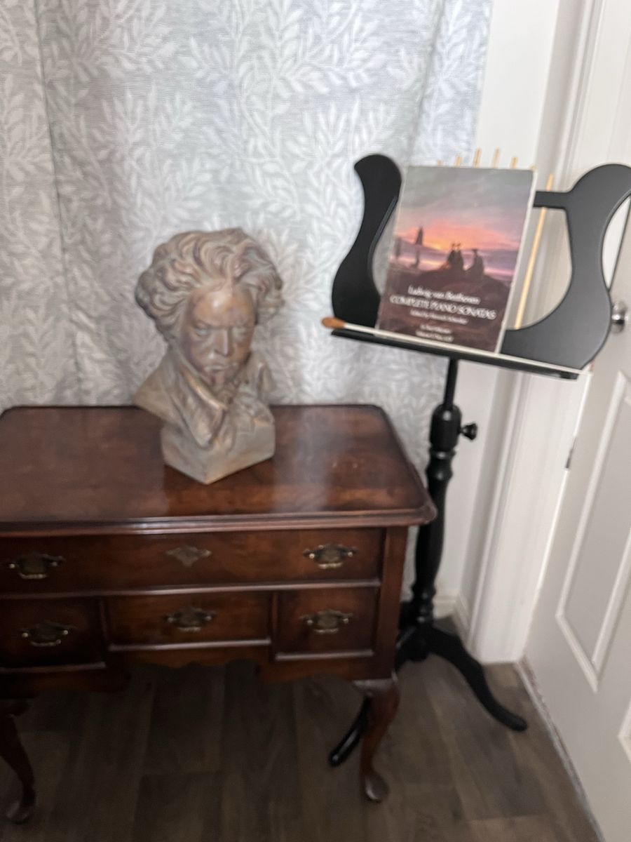 Ludwig Van Beethoven Head Statue