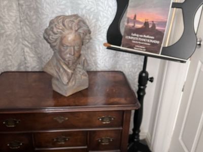 Ludwig Van Beethoven Head Statue