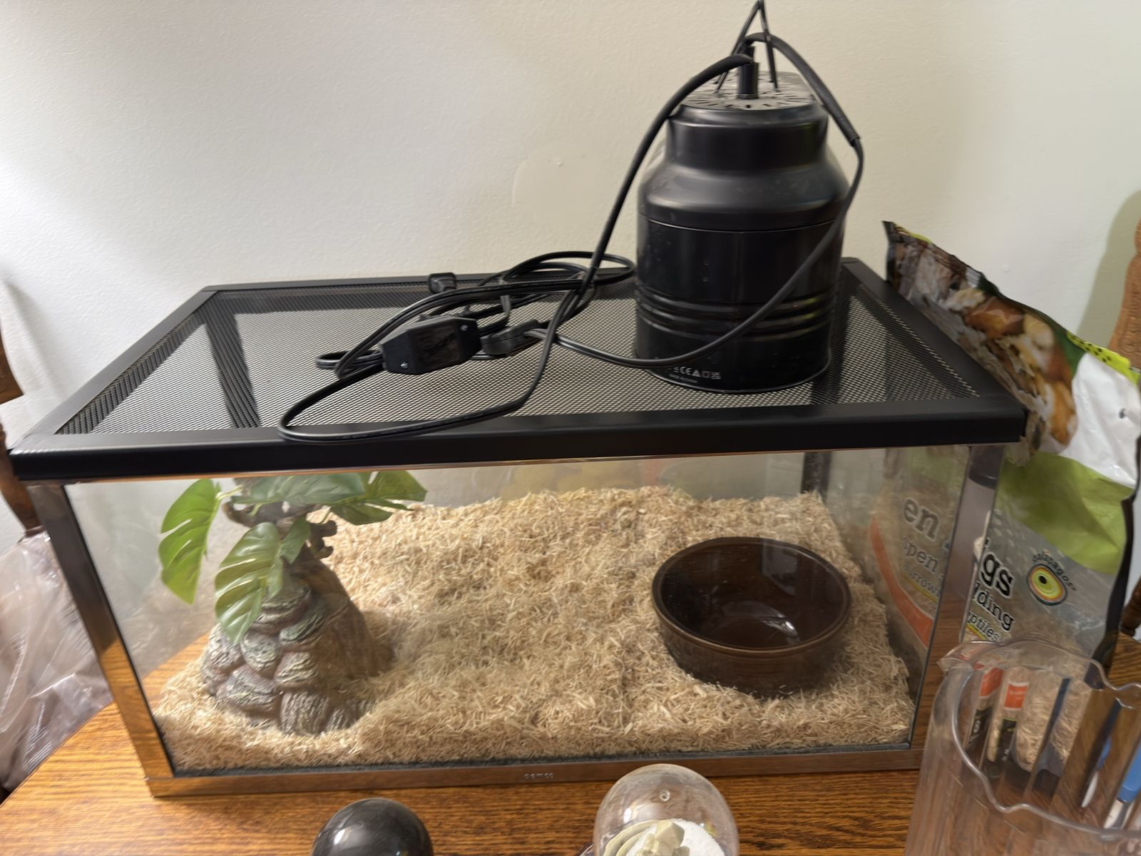 Main image 4