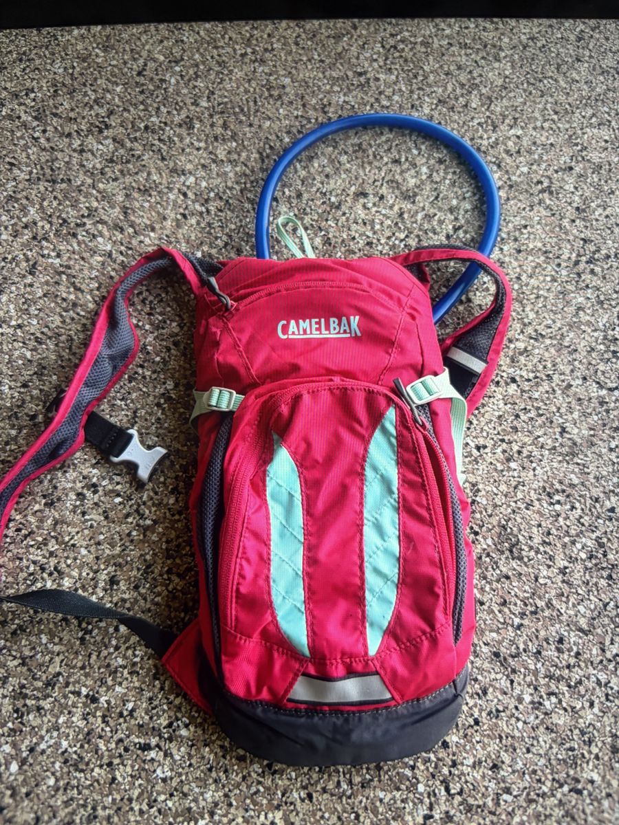 CamelBak Hydration Backpack Pink and Teal
