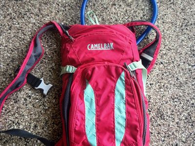 CamelBak Hydration Backpack Pink and Teal