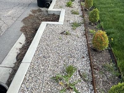 Weeds Removal Services Great Prices Yard Clean Up