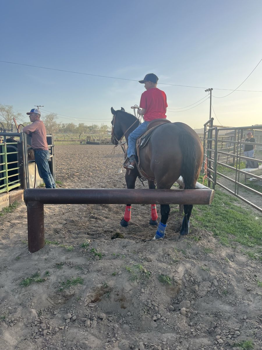 Ranch, Trail and Rope Horse