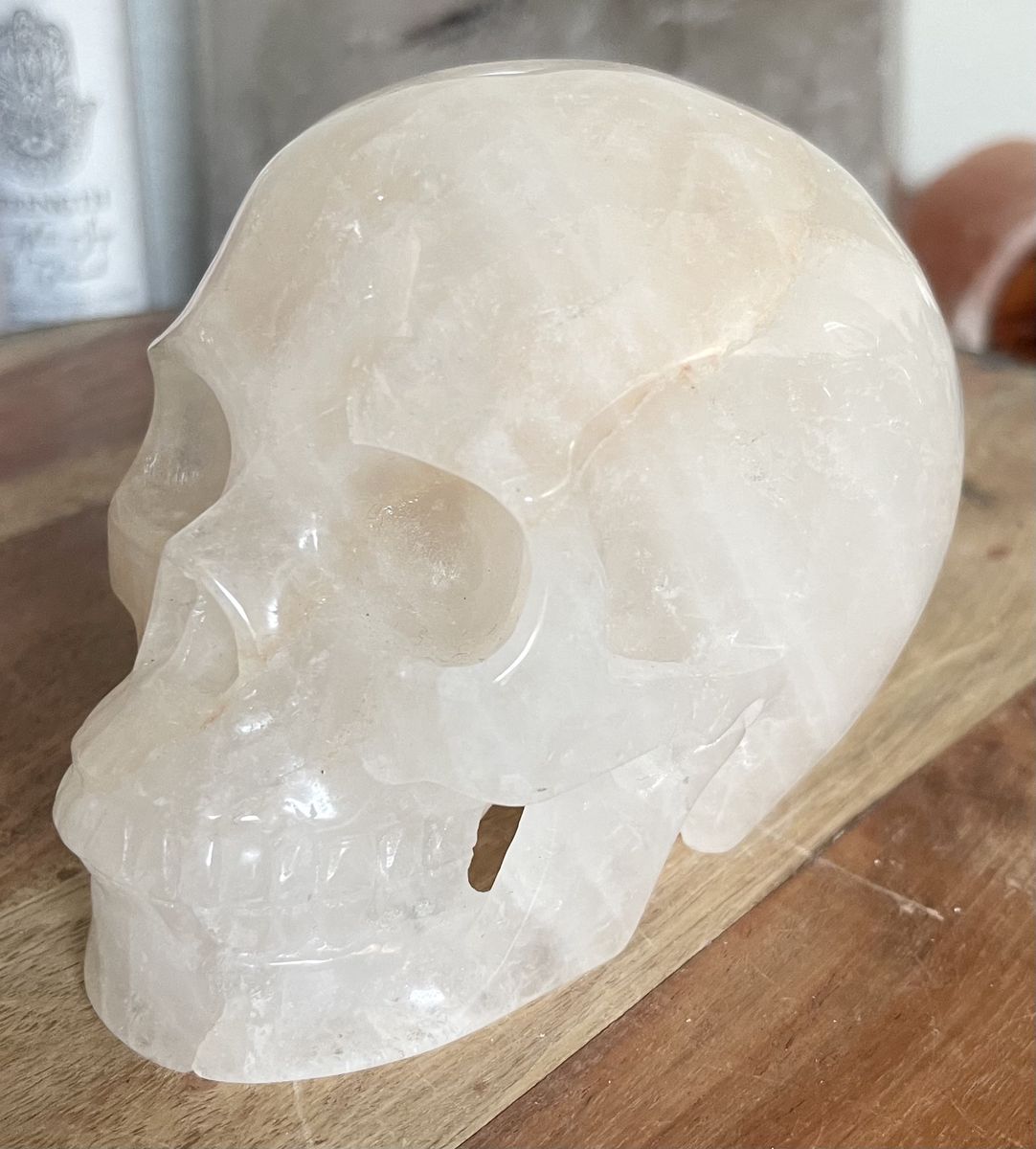 NEW Crystal 5" Gemstone Skeleton SKULL Natural QUARTZ Stone Home Decor Decoration Figurine Statue Collectible