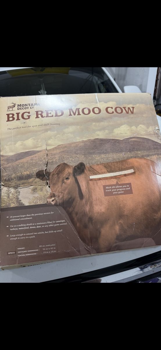 Moo Cow Decoy