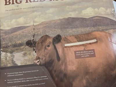 Moo Cow Decoy