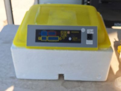 Egg Incubator For Sale
