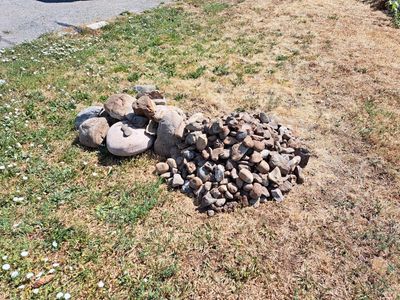 Free Rocks