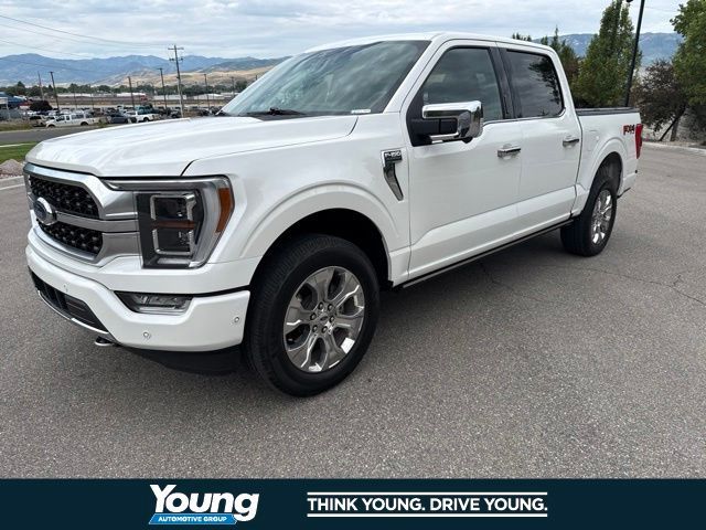 2021 Ford F-150 Platinum