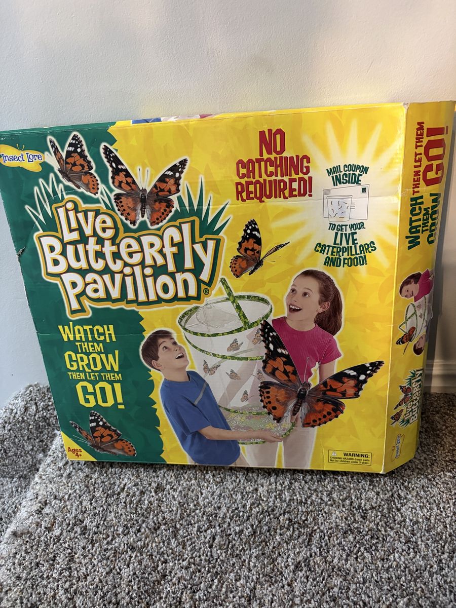 Live Butterfly Pavilion - Insect Lore