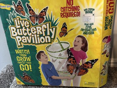 Live Butterfly Pavilion - Insect Lore