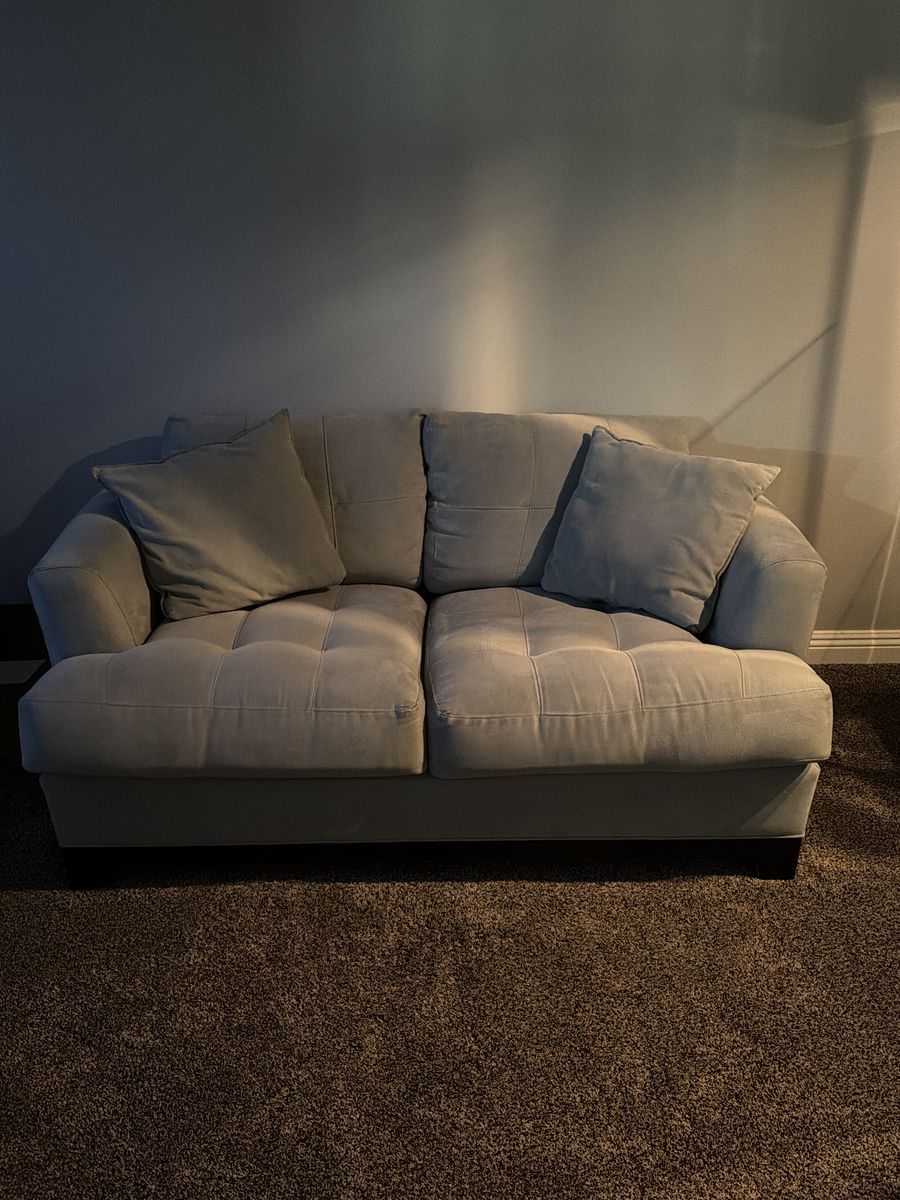 Velvet couch
