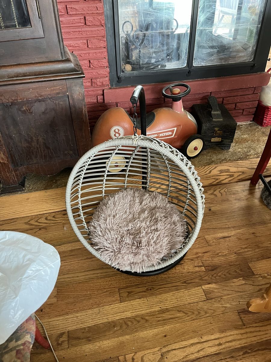 Cute Cat Swing