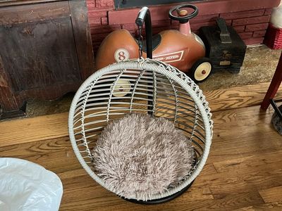 Cute Cat Swing