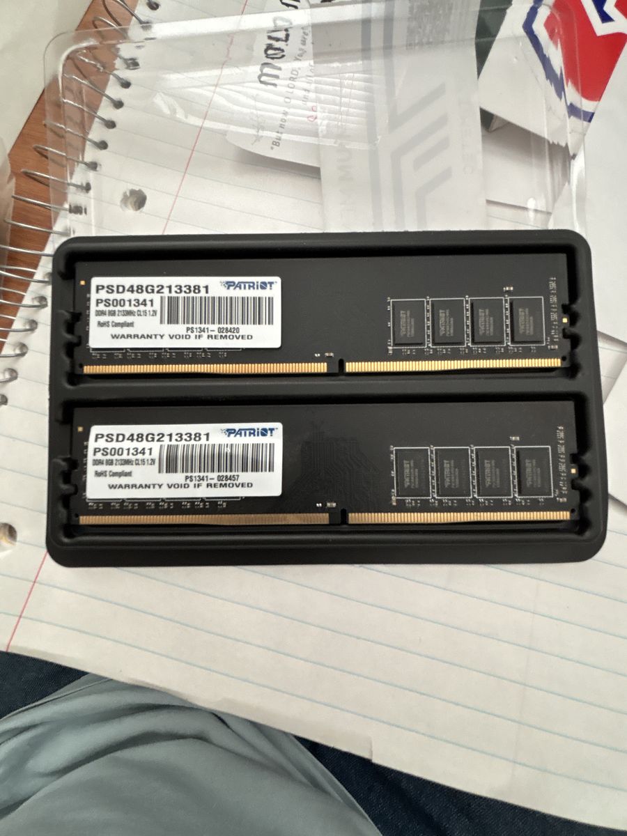 Two 8GB RAM sticks