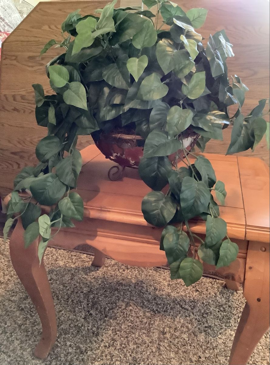 Artificial plants and flowers