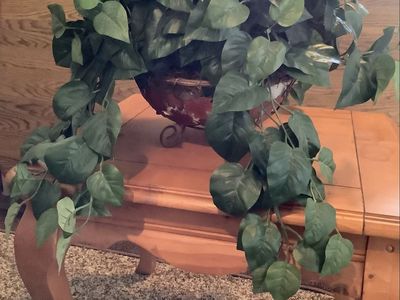 Artificial plants and flowers