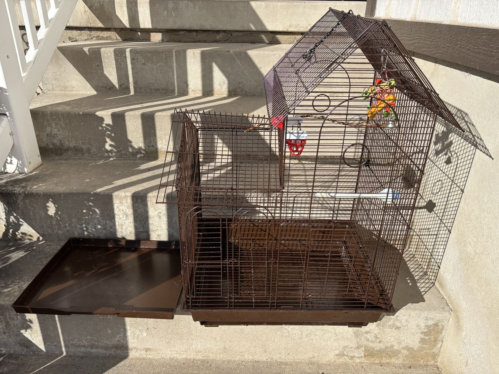 Parakeet And Cage (With Toys/ Food Bowls/ Waterer)
