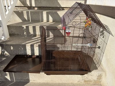 Parakeet And Cage (With Toys/ Food Bowls/ Waterer)