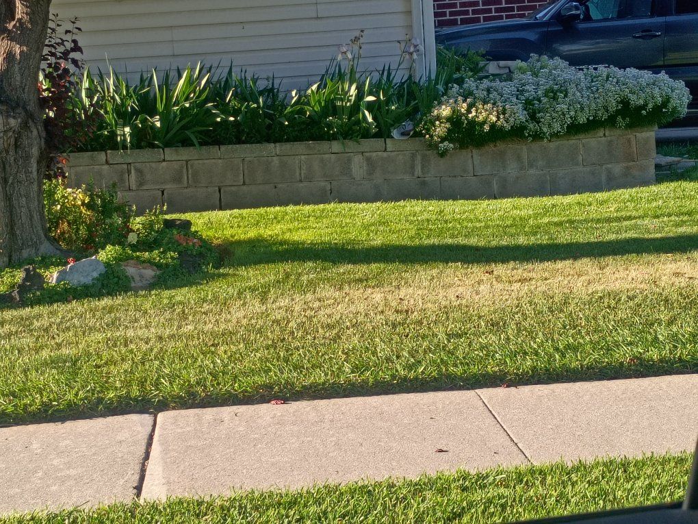 cleaning yards