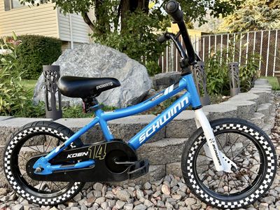 14” Schwinn Bike in excellent condition