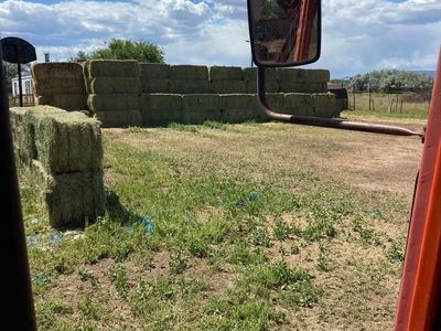 Alfalfa hay bales